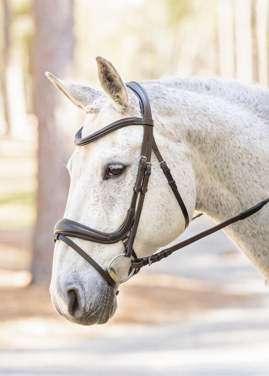 Hidden Flash!  Pro-Fit Comfortable Bridle in Havana Brown