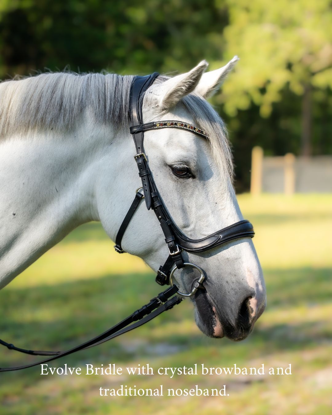 Evolve Comfort Bridle System