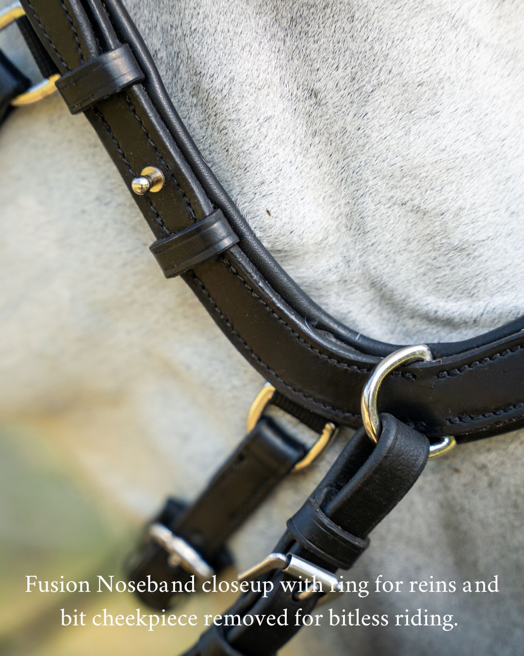 Evolve Comfort Bridle System