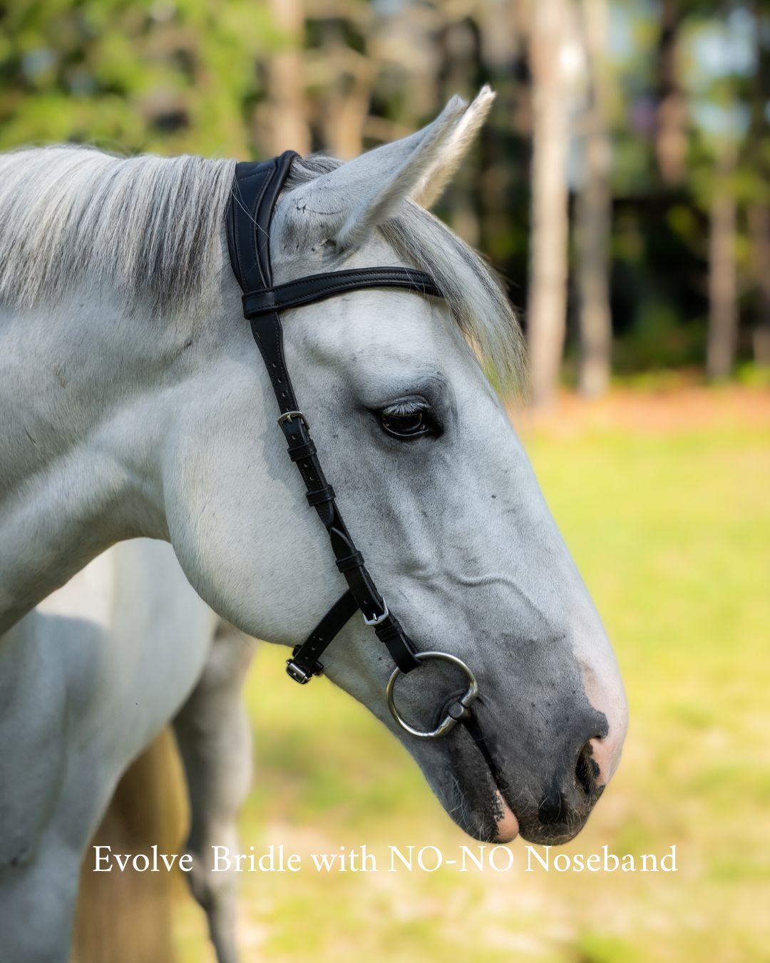 Evolve Comfort Bridle System