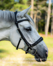 Evolve Comfort Bridle System