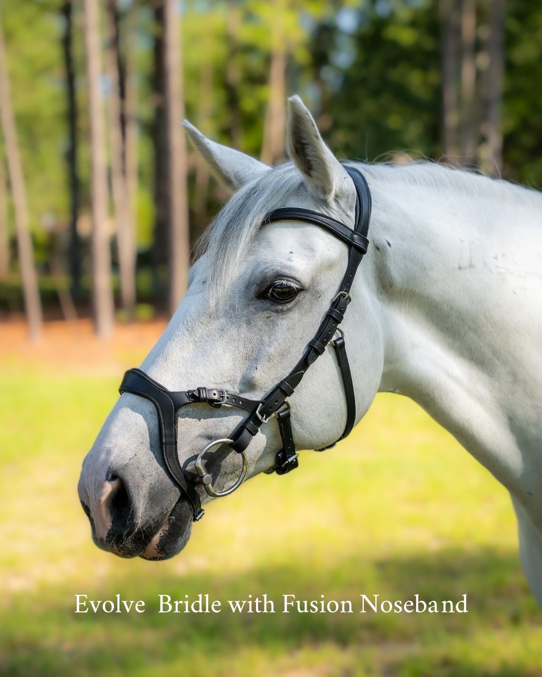 Evolve Comfort Bridle System