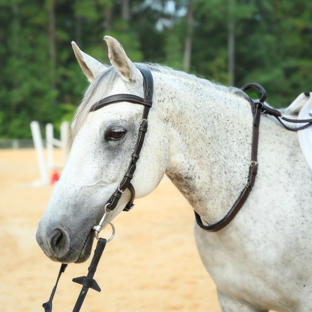 White horse wearing the pony size Correct Connect Double Neck Strap