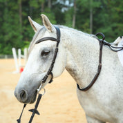 White horse wearing the pony size Correct Connect Double Neck Strap