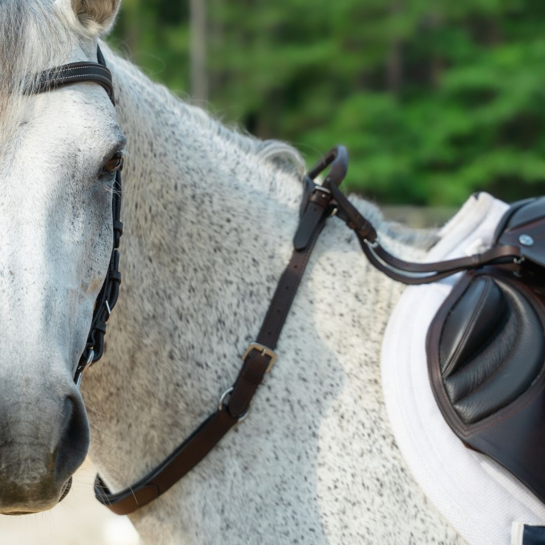 Side angle of a white horse wearing the pony size Correct Connect Double Neck Strap