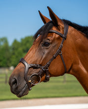 Fusion Noseband