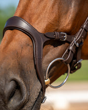 Fusion Noseband