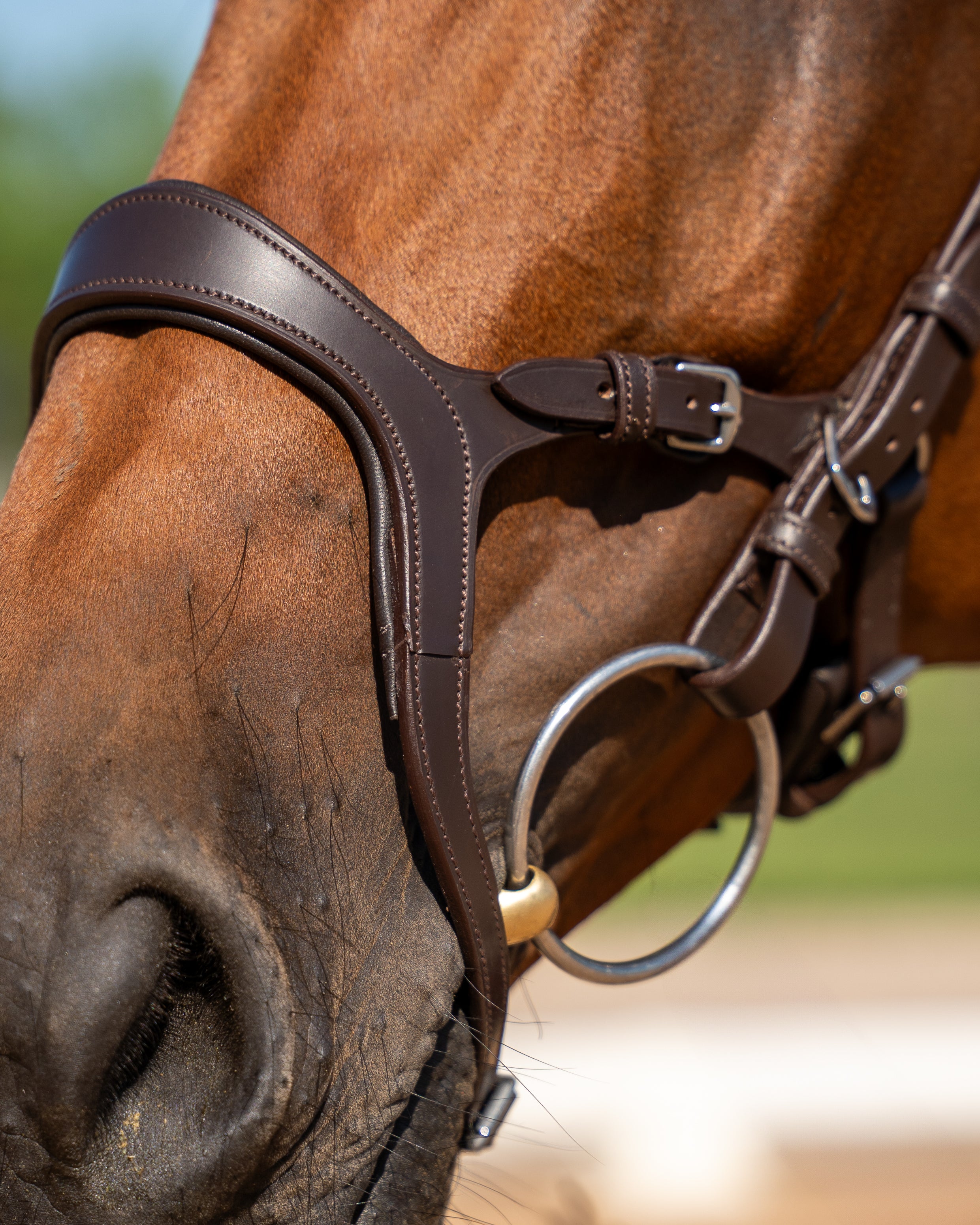 Fusion Noseband