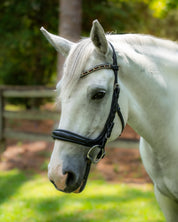 Fusion Noseband