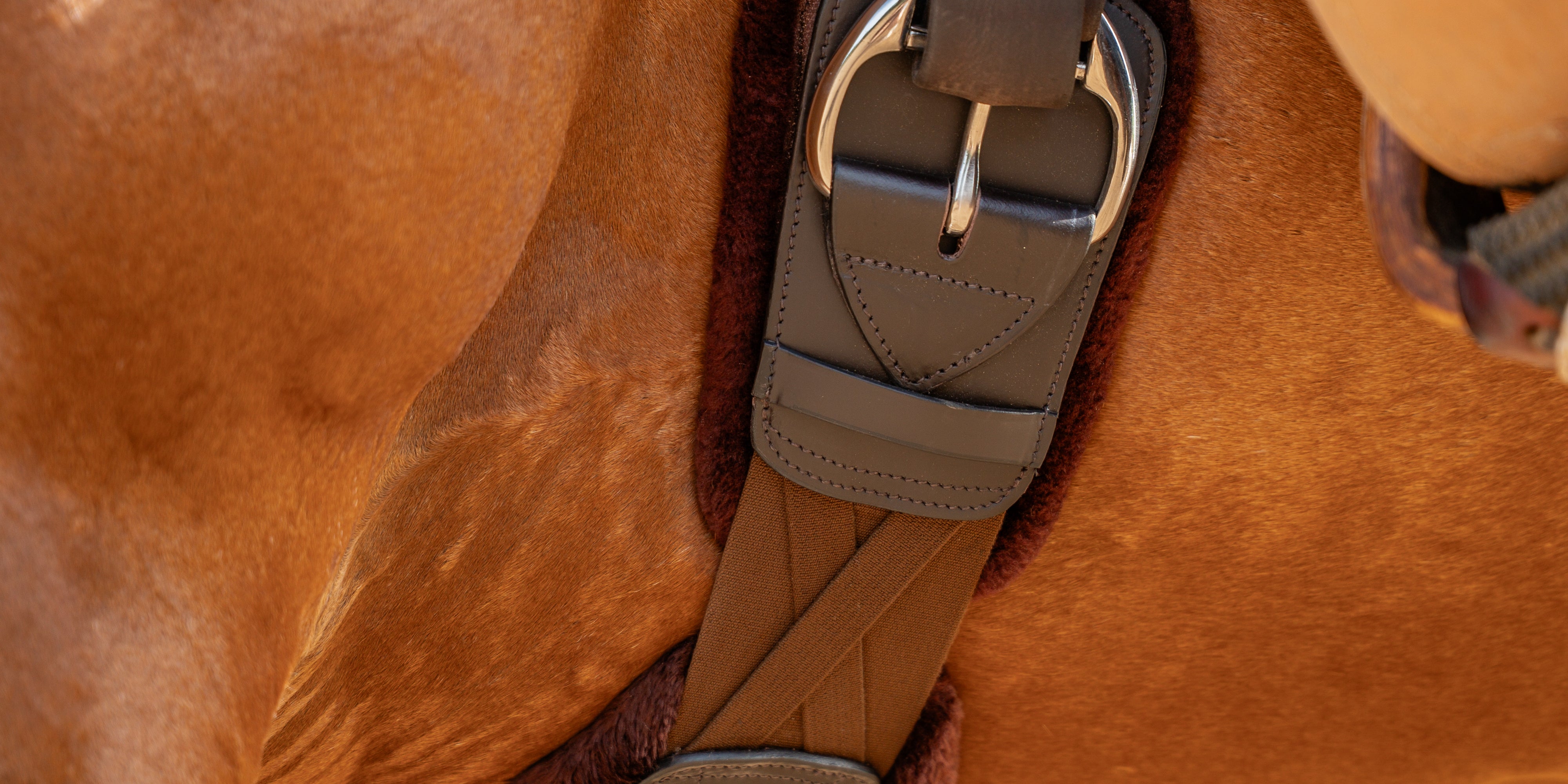 Tack Connection Correct Connect™ – Equestrian Training Aids, Tack, Reins, & Apparel ...