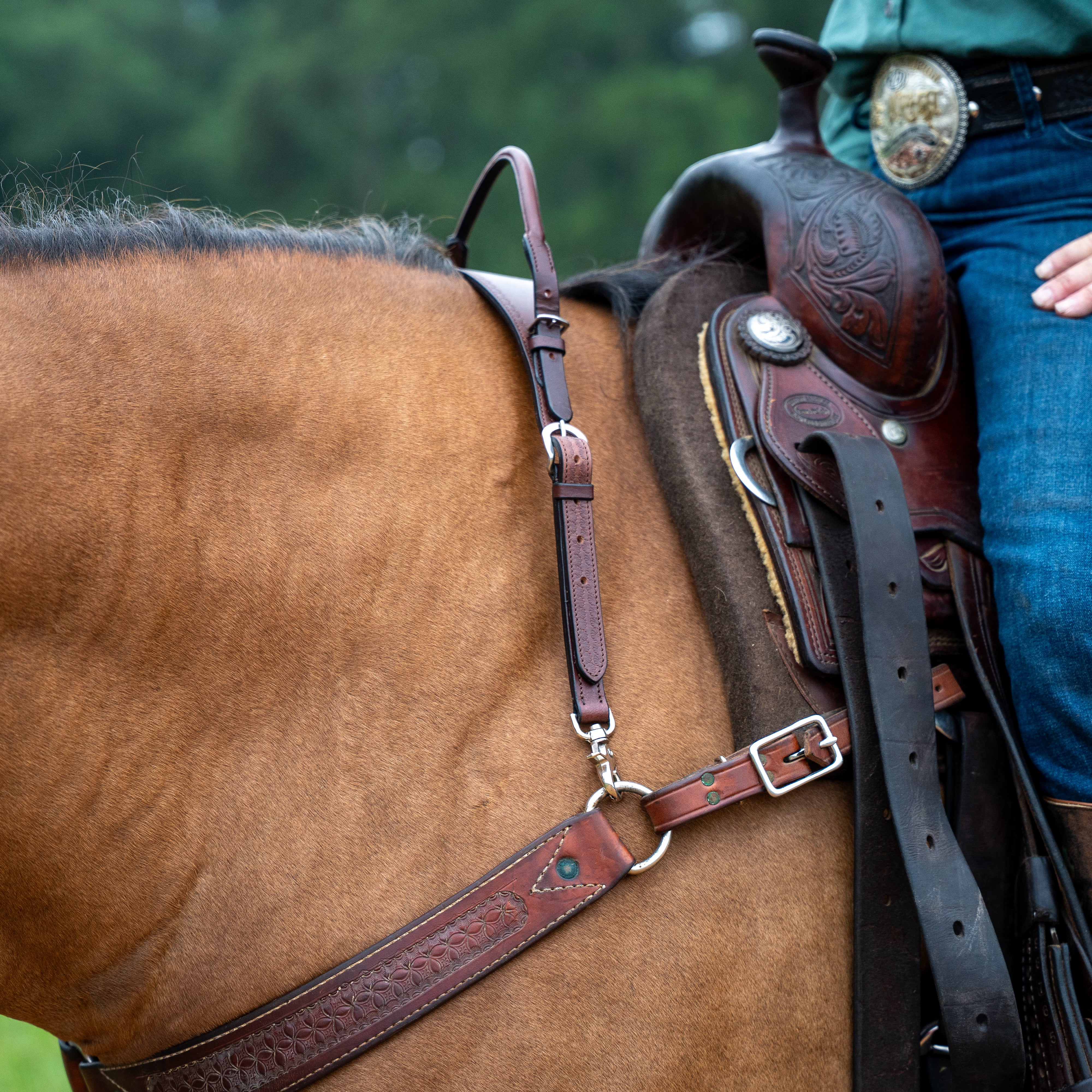Western Wither Strap with Double neck strap