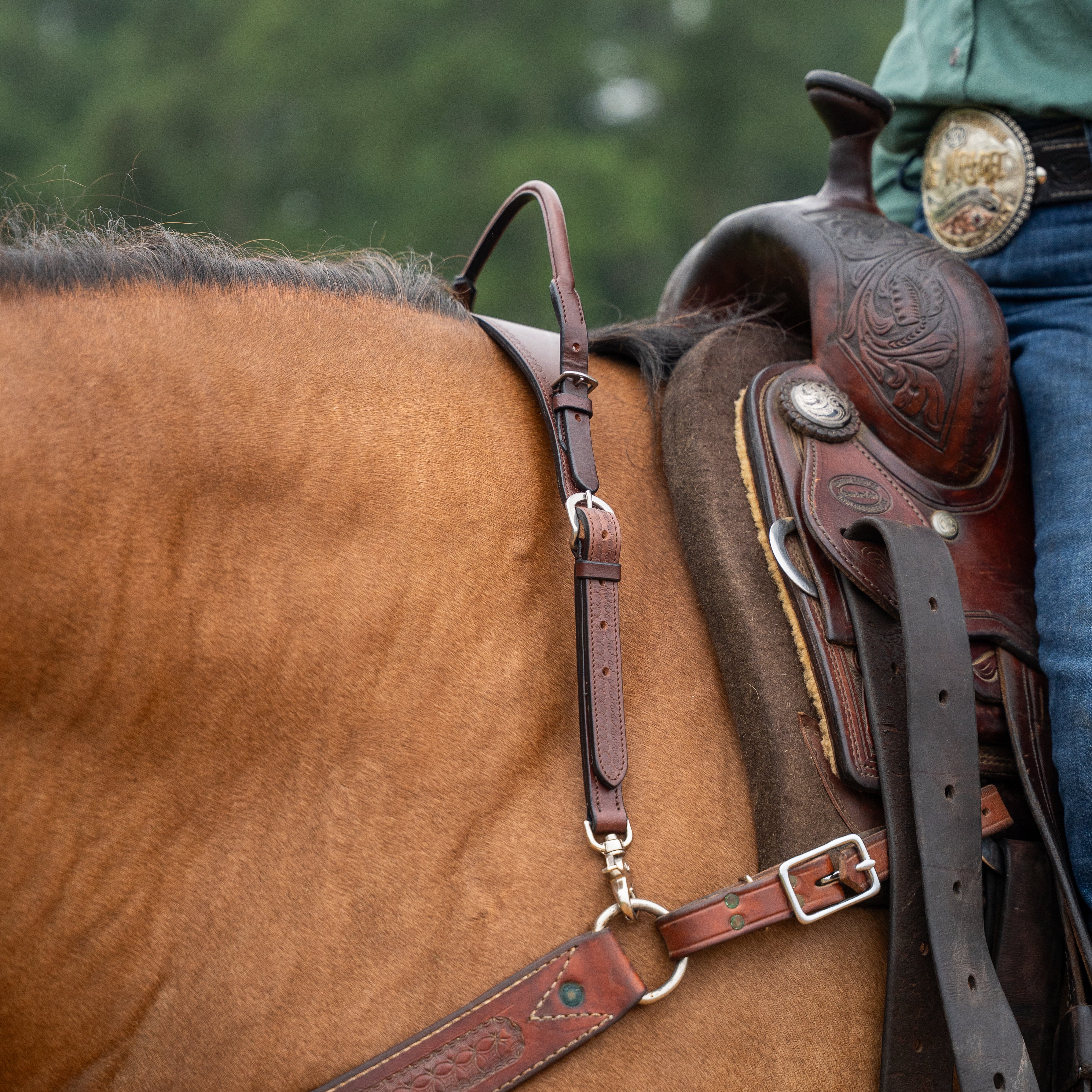 Western Wither Strap with Double neck strap