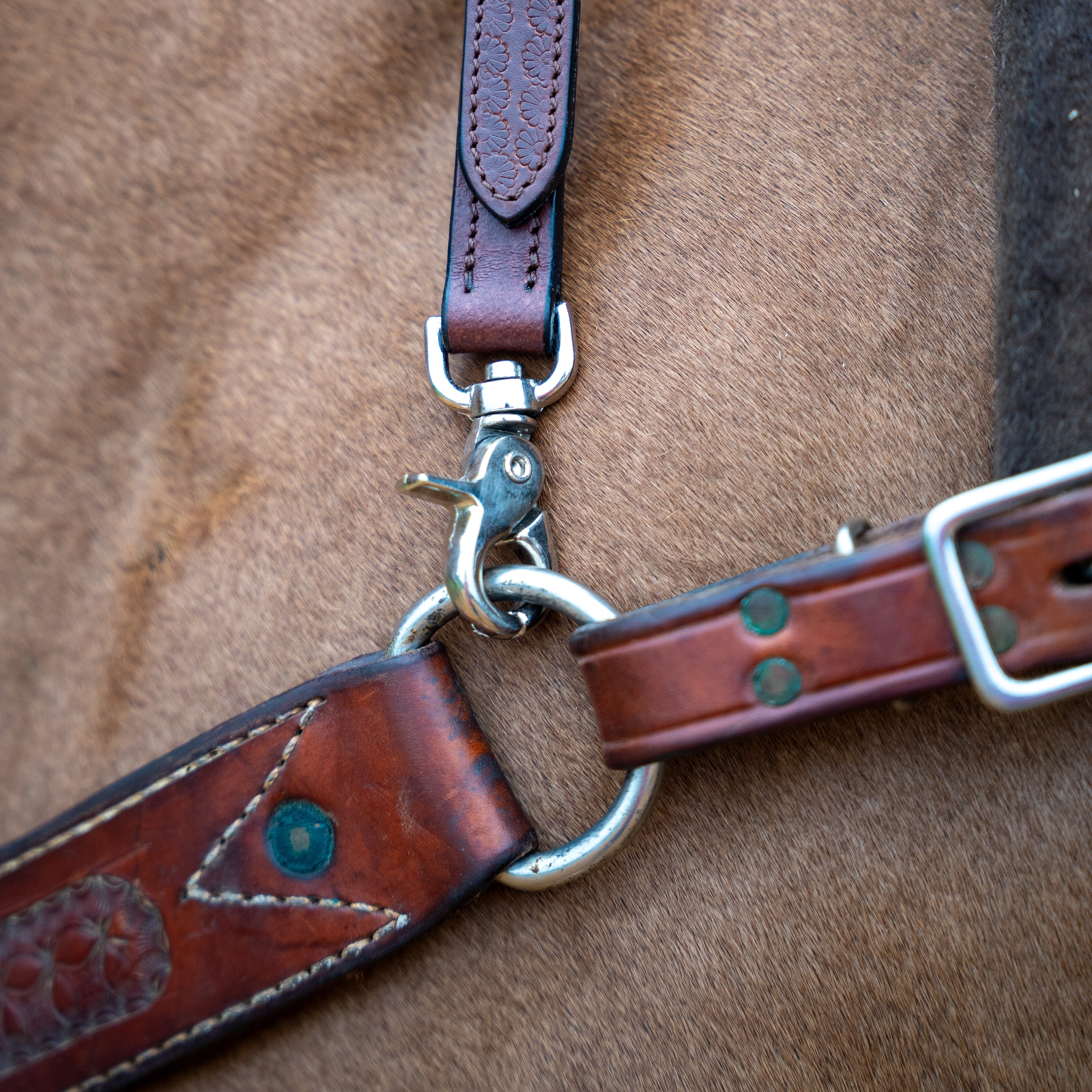 Western Wither Strap with Double neck strap