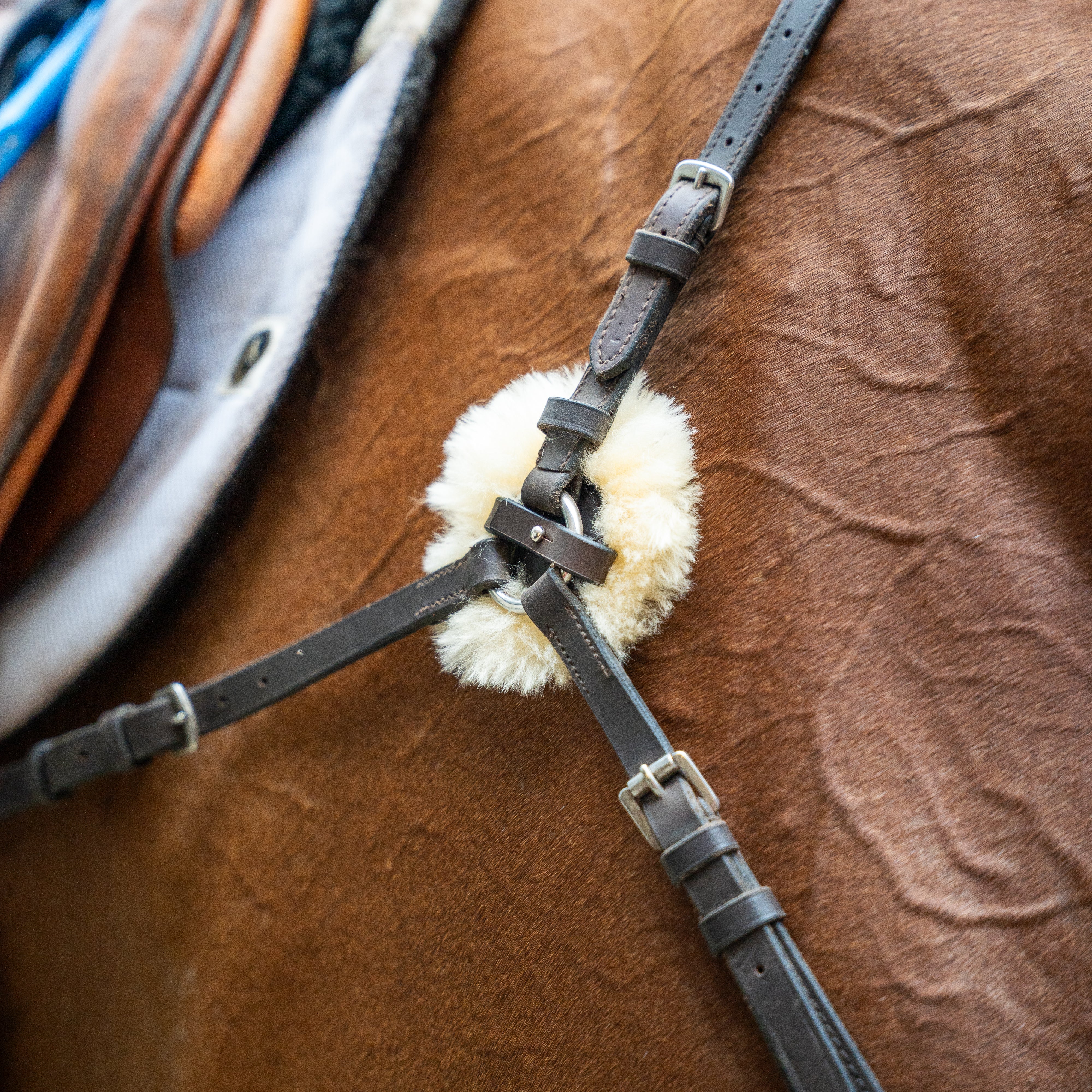 Sheepskin Rings for Free Motion Breastplate