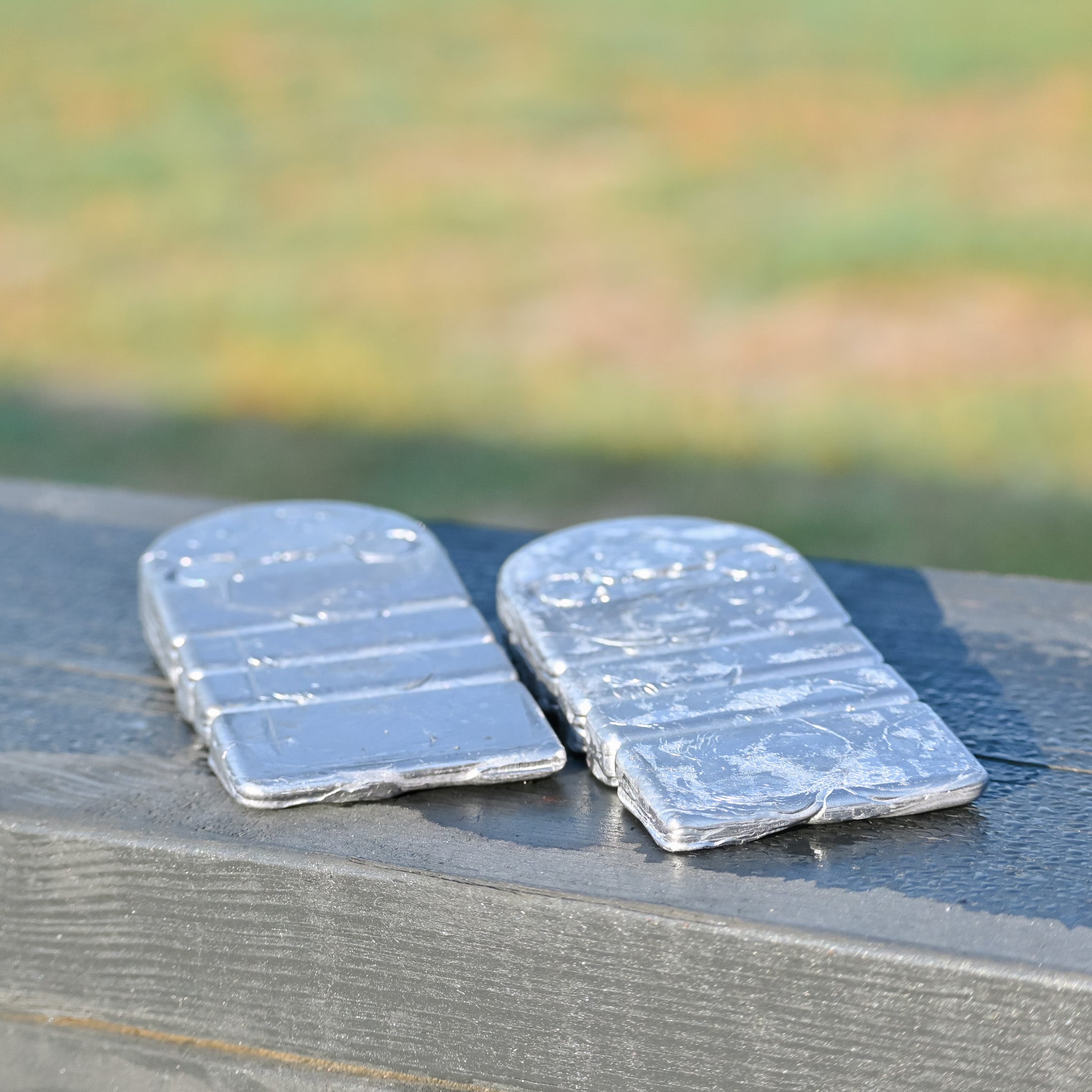 Equisole-Weighted Training Aid for Equestrians – CorrectConnect