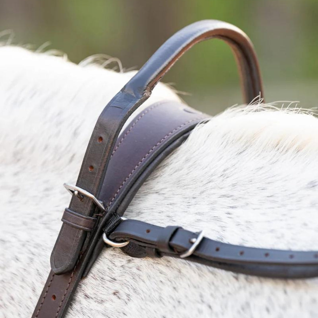 Horse Riding Strap: Ultimate Guide to Comfort and Control