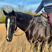 Person riding a horse with a western saddle and using the brown Correct Connect Double Neck Strap.