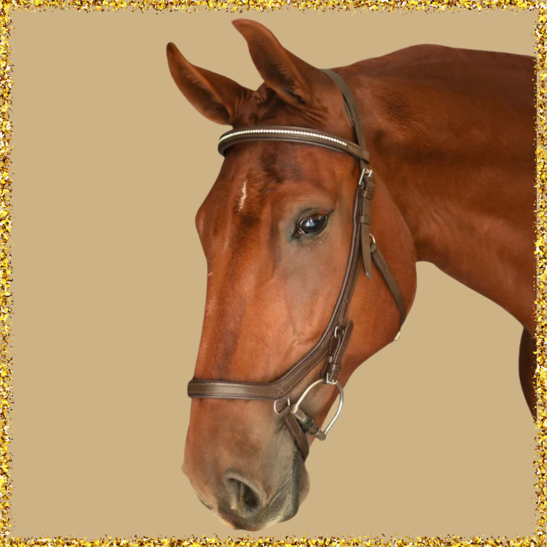 For The Rider Who Has Everything