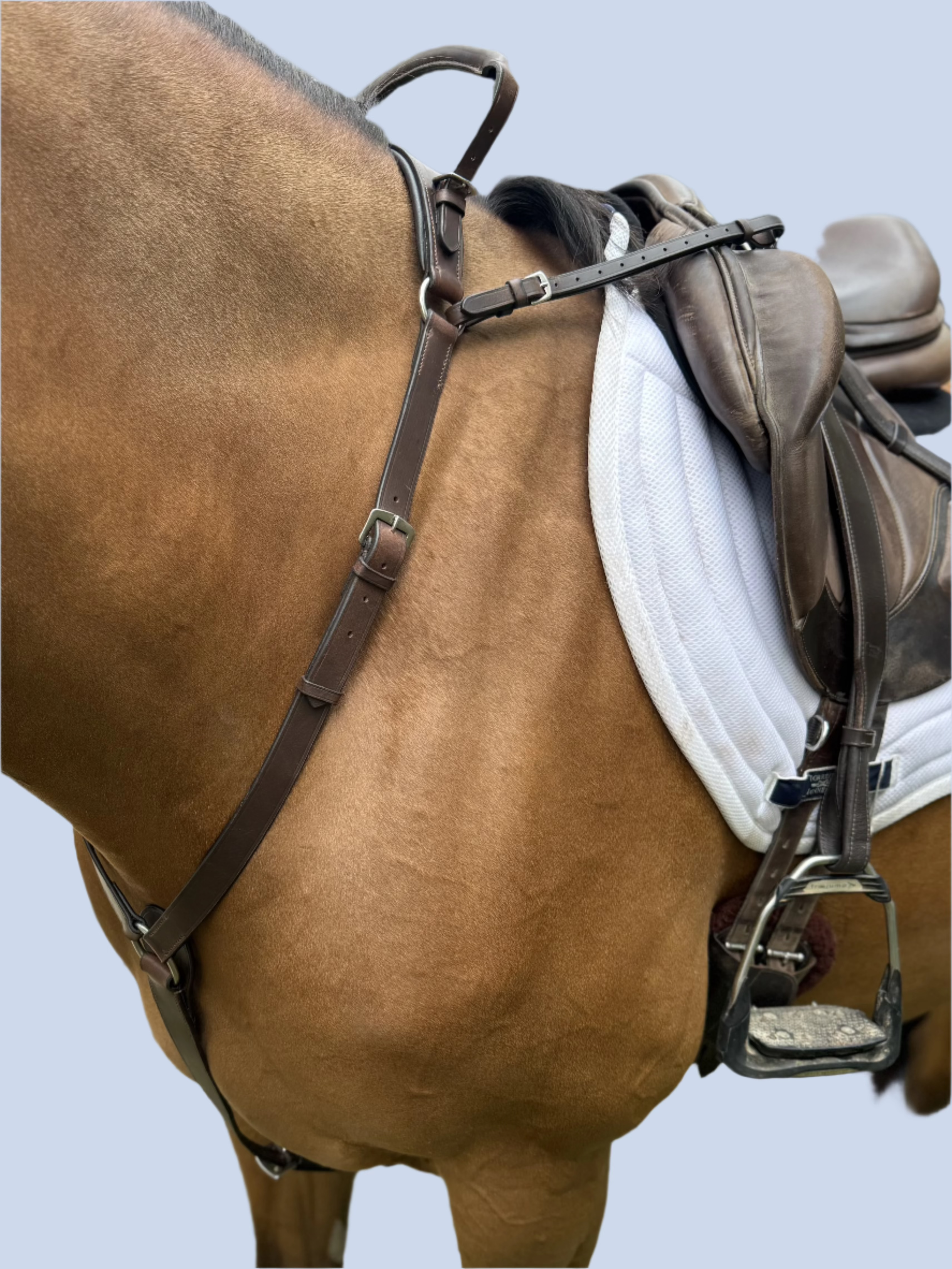 3-Point Breastplate with Double Neck Strap