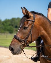 Evolve Comfort Bridle System