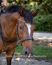 Evolve Comfort Bridle System