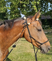 Therapeutic Equine Stretching System