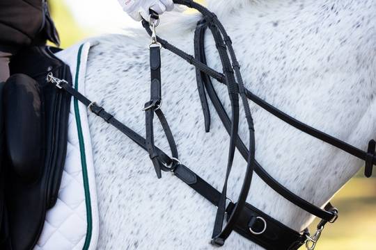 Correct Riding Aids Correct Connect™ – Improve your riding, Improve your horse – CorrectConnect
