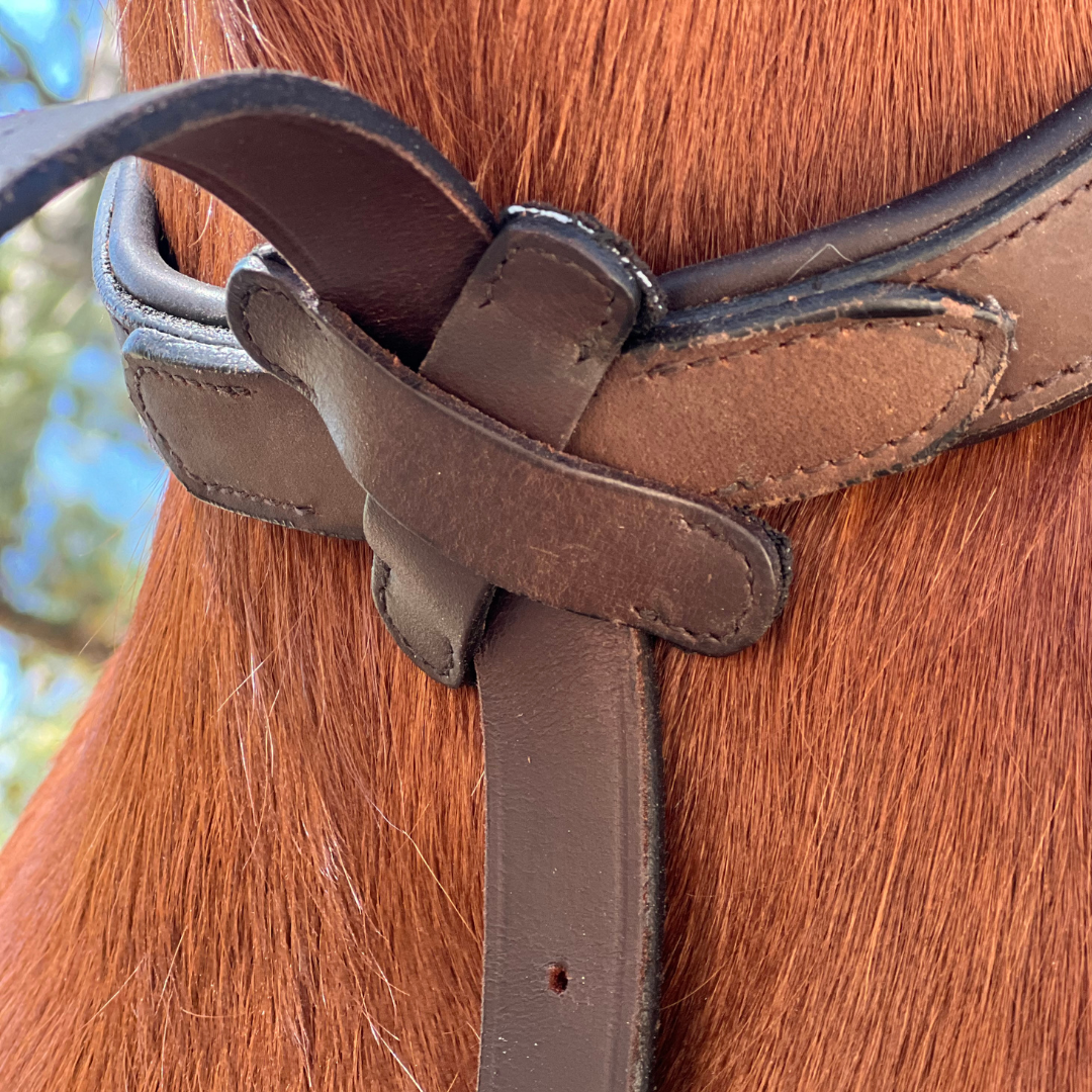 Standing Martingale Add-on for Double Neck Strap