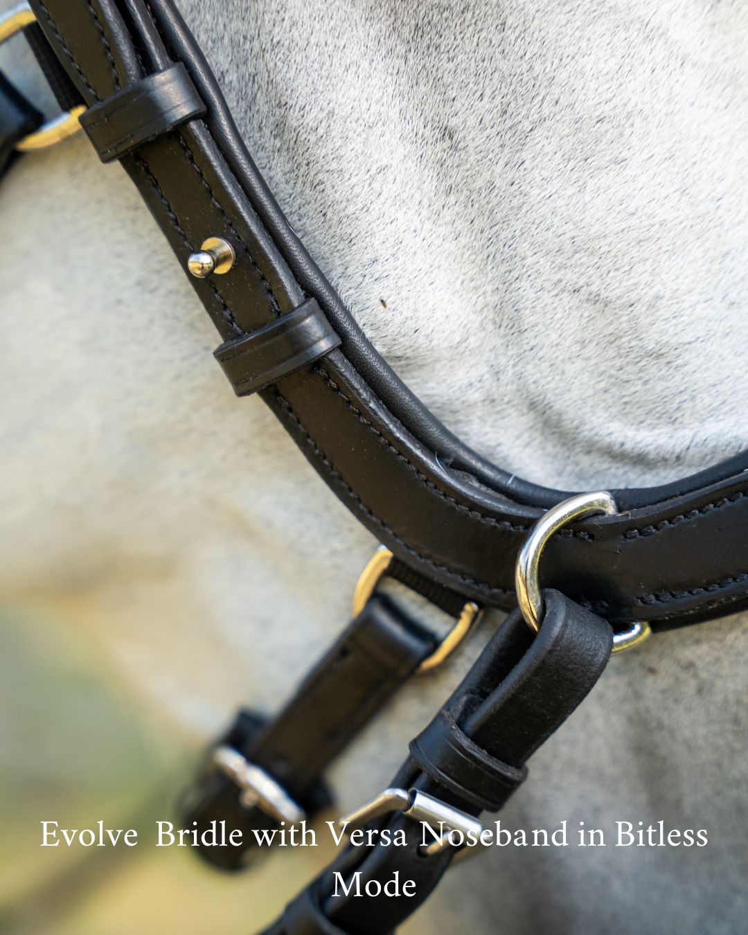 Evolve Comfort Bridle System