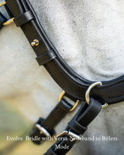 Evolve Comfort Bridle System