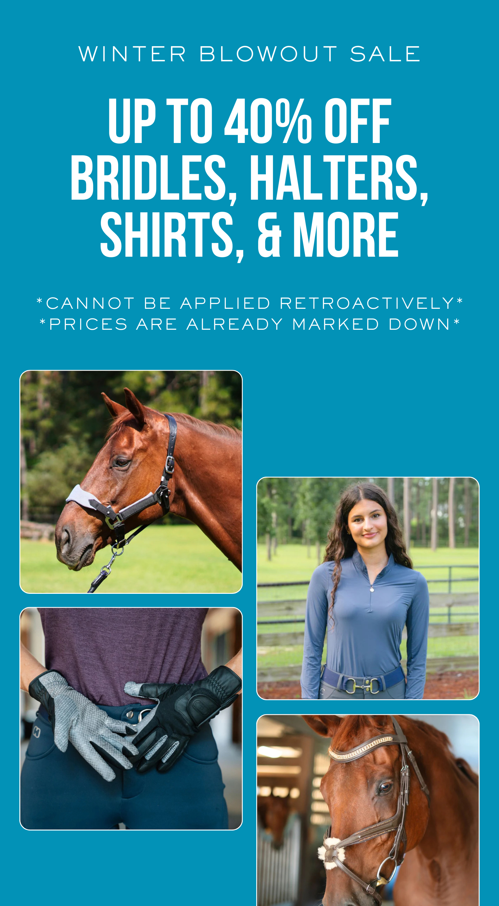 WINTER_BLOWOUT_SALE_Banner_Mobile_3.png