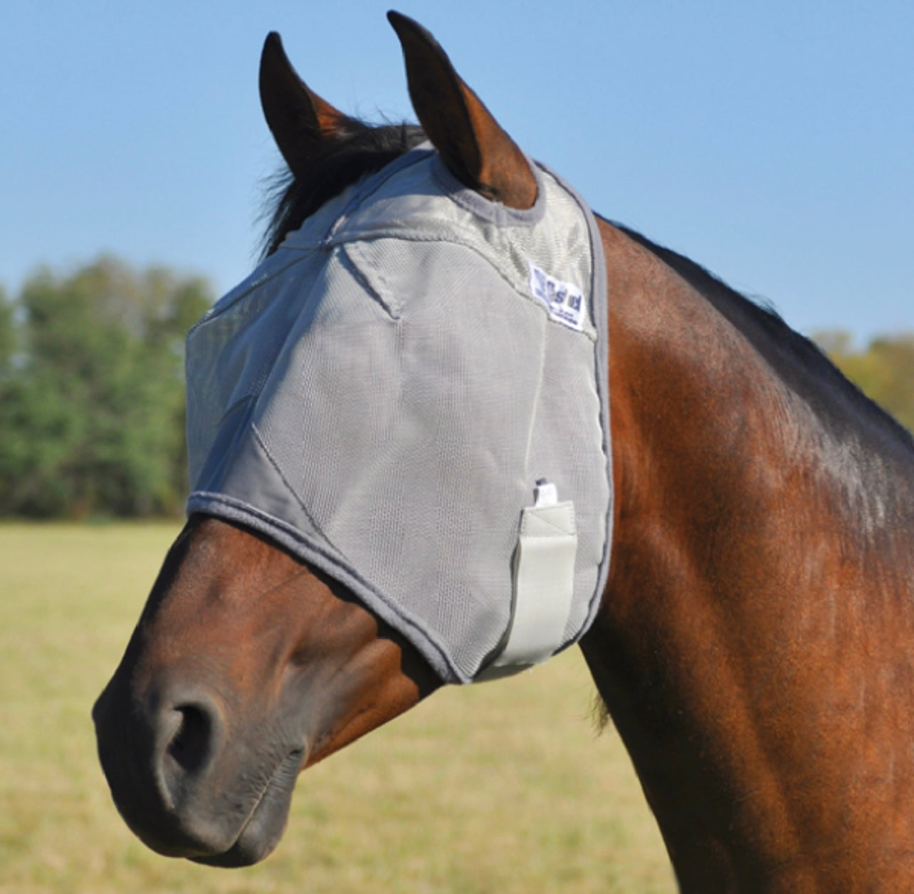 Crusader Standard Fly Mask