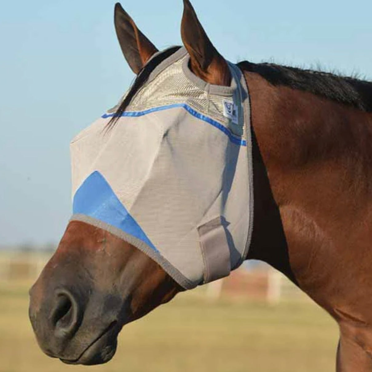 Crusader Standard Fly Mask Blue