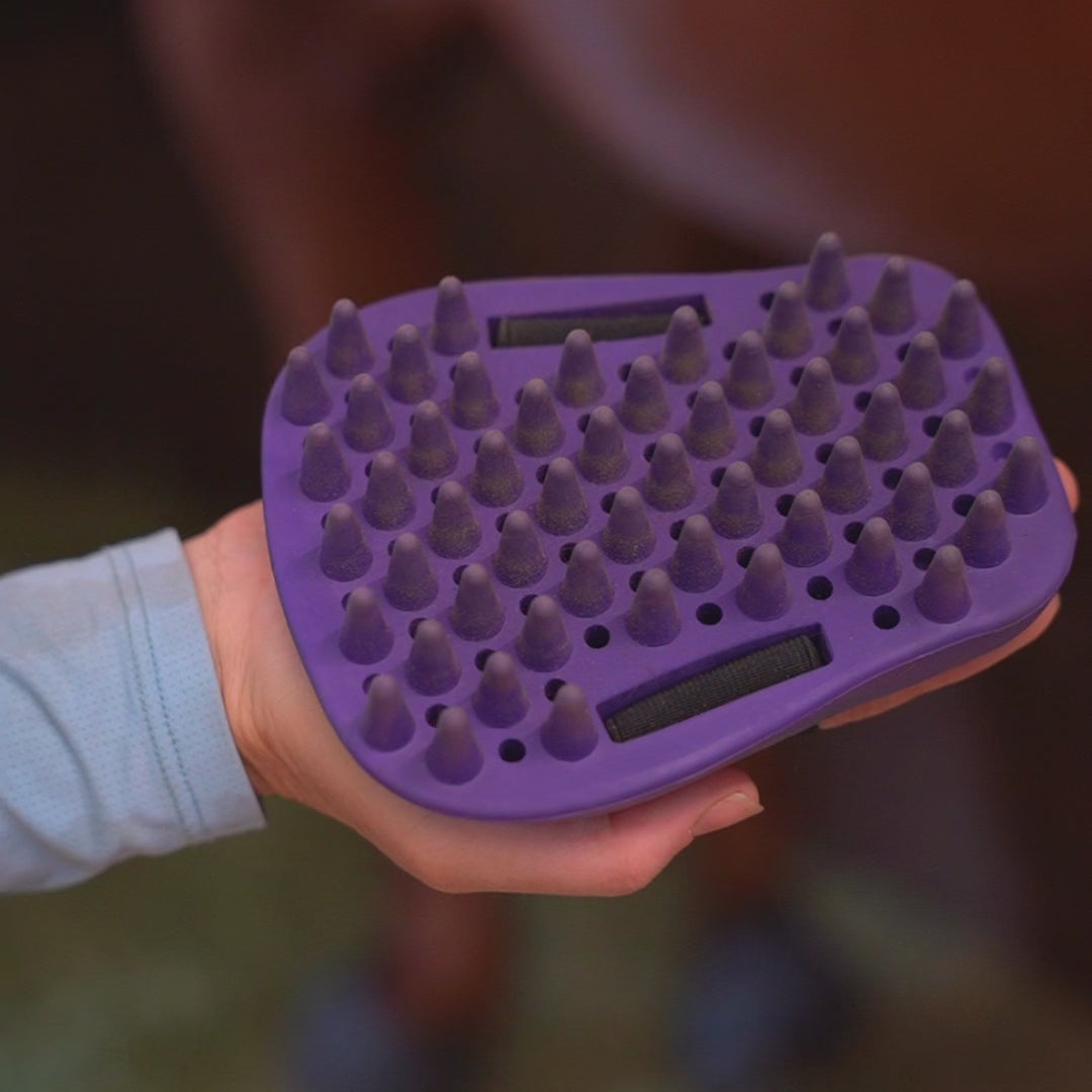 58066a50336a46e1a70d251dc0b7542b.thumbnail.0000000000.jpg