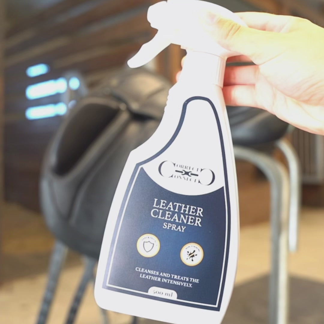 Leather Cleaner Spray