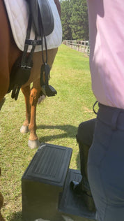 Equisole EXternal-Weighted Training Aid for Equestrians New Product Alert