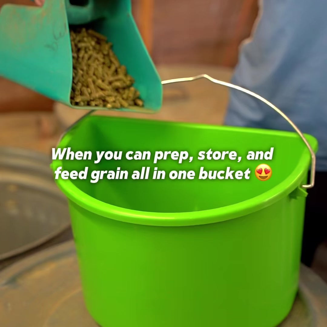 Hanging Feed Trough with LId 3 Gallons