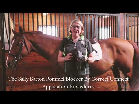Sally Batton Pommel Blocker