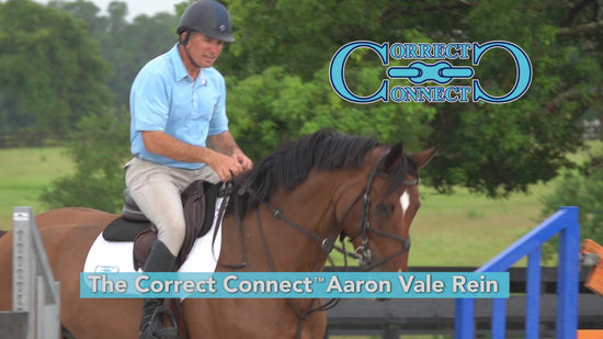 Aaron Vale Rein-3 Padded Hand Grips-Best Training Rein For Stable and ...