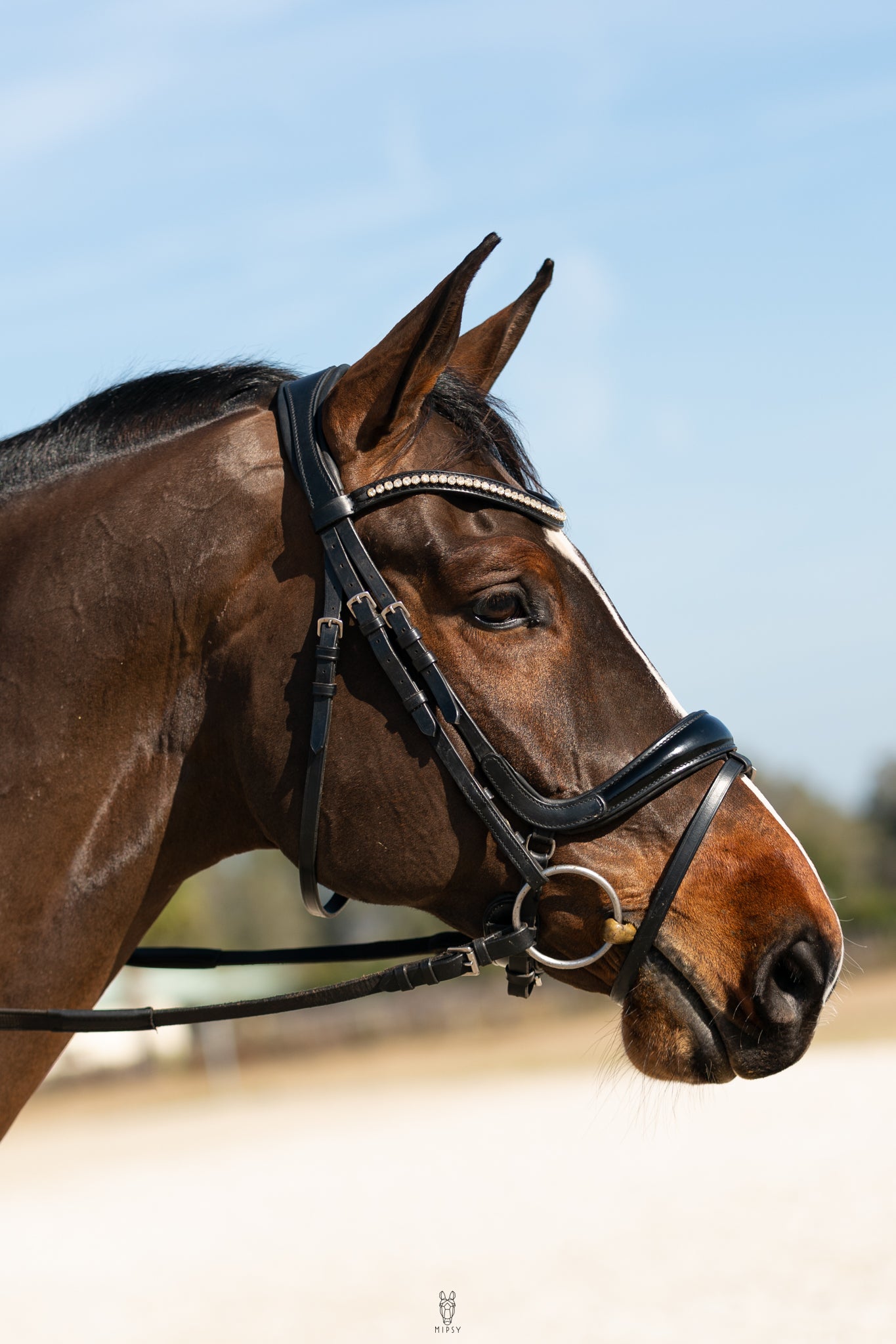 Pro-fit Comfortable Bridle with Patent Noseband and Crystal Browband