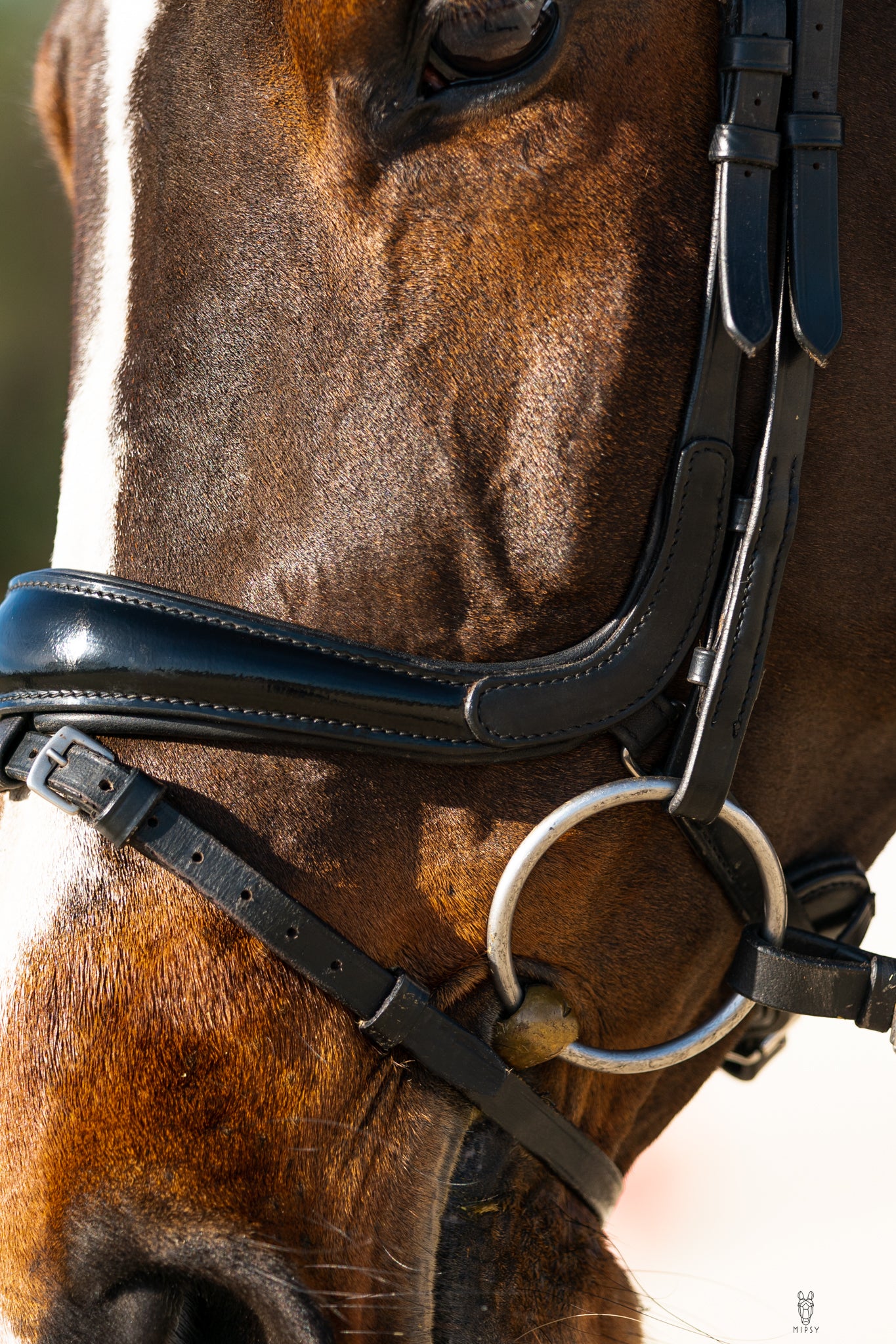 Pro-fit Comfortable Bridle with Patent Noseband and Crystal Browband