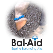 Bal-Aid Equine Balancing Aid